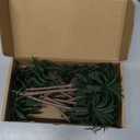 15-Pack Miniature Palm Trees | 4-6.3 Tropical Coconut Model Trees with Flexible Stems | Diorama Decor, Train Layout Scenery, Cake Toppers & Architectural Sandbox Supplies