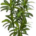UPBUD Artificial Dracaena Tree, 6FT Large Faux Potted Plant with Real Touch Leaves & Black Tall Planter, Fake Floor Trees Lifelike Dracaena Plants for Outdoor Indoor Home Office Living Room Decor