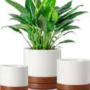 vancasso Ceramic Plant Pots, 3 Piece Planters for Indoor Plants, 4.25+5.25+6.25 Inch Flower Pots with Drainage, Plant Pots Indoor for Succulent, Pothos, Snake Plant and Money Tree, Etc (Khaki)