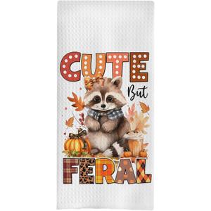 Kitchen Towels - Cute Raccoon Halloween Dish & Hand Towels, 16x24 Inches