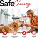 Indestructible Realistic Tough Dog Chew Toy  Natural Rubber Beef Flavor  Bone for Aggressive Chewers Long-Lasting, Teeth Cleaning, Safe & Non-Toxic (Large)