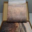 LHHJDIO Vintage Gold Framed Wall Art Moody Floral Canvas Wall Art Light Academia Cottage Room Decor Classic Still Life Books Art Prints for Bedroom Living Room Study 12"x16"