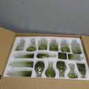 Set of 40 Glass Bud Vases, Small Green Glass Vases in Bulk, Mini Vintage Embossed Flower Vase for Wedding, Centerpieces, Birthday Party, Baby Shower, Home Table Decorations (Green)