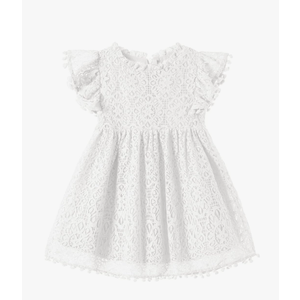 Niyage Toddler Girls Elegant Lace Pom Pom Flutter Sleeve Party Princess Dress 110