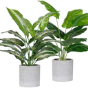 Der Rose 2 Pack Fake Plants Artificial Tropical Faux Plants Indoor for Office Desk Home Sage Green Decor Small