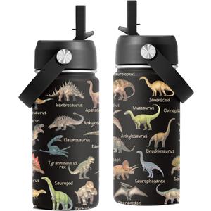 Dinosaur Gifts, 16 oz Water Bottle with Straw Lid, Stainless Steel Insulated Water Bottle for Travel Outdoor, Dinosaur Cup for Dinosaur Lovers
