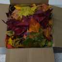 DearHouse 2 Pack Fall Garland Maple Leaf, 5.9Ft/Piece Hanging Vine Garland Artificial Autumn Foliage Garland Thanksgiving Decor for Home Wedding Fireplace Party Christmas (Orange)