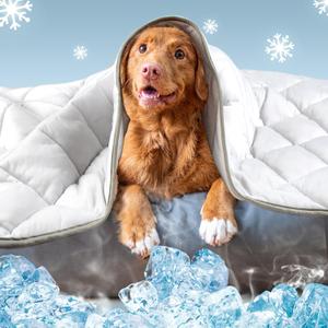 Leekalos Dog Cooling Mat,Pet Cooling Pads for Dogs Blanket,Summer Cooling Bed for Cats Blanket,Portable Pet Cooling Cushion for Home & OutdoorKeep Cooling for Pets (Cool Grey, Large(40"x60"))