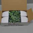 Der Rose 4 Pack Fake Plants Mini Artificial Greenery Potted Plants for Home Decor Indoor Office Table Room Farmhouse Bathroom Decor (Grey)