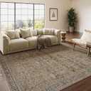 WondRg 8x10 Washable Area Rug Brown Vintage Distressed Living Room Bedroom Large Throw Rug Non Slip Low Pile Soft Accent Indoor Floor Carpet for Dining Room Office Entryway Kitchen