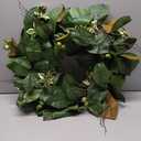 HD Designs24 Inc Magnolia Leaves/Berry Wreath