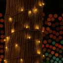 100 Warm White Wide Angle LED Mini Lights on Brown Wire 34 Ft Commercial Grade Christmas String Lights, Full Wave No Flicker, Indoor/Outdoor UL Listed, Connect Up to 21 Sets