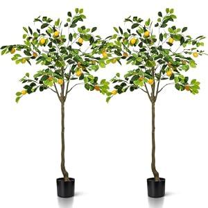 Jexine 2 Pack Artificial Lemon Tree 5 ft Tall Fake Plant Pre Potted Faux Lemon Tree Realistic Fruits for Indoor Home Decor Office Living Room