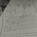 Wildenauer Dining Chair (Set of 2)