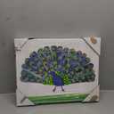 Eric Carle's Peacock Canvas Wall Art, Green, 18.00" x 1.50"