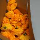 Hananona 201Pcs Artificial Marigold Flower Heads Bulk, Silk Marigold Bulk Fake Flowers for Dia De Los Muertos Decor DIY Marigold Garland Day of The Dead Decorations (Orange)