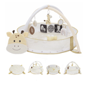 Aila+Aiden 6-in-1 XL Play Mat & Play Gym