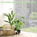 LBW Plant Grow Light,72 LEDs Full Spectrum Grow Lamp for Indoor Plants, Bamboo Plant Lights with 4/8/12H Timer,Height Adjustable,Ideal for Large Tall Plants,Bamboo