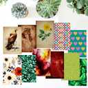PARTH IMPEX 270 Sheets Scrapbook Paper 4x6 Single-Side - Floral Watercolor Vintage 160gsm Thick Decorative Colored Cardstock for Art Craft Scrapbooking Journaling Supplies Aesthetic Room Decor