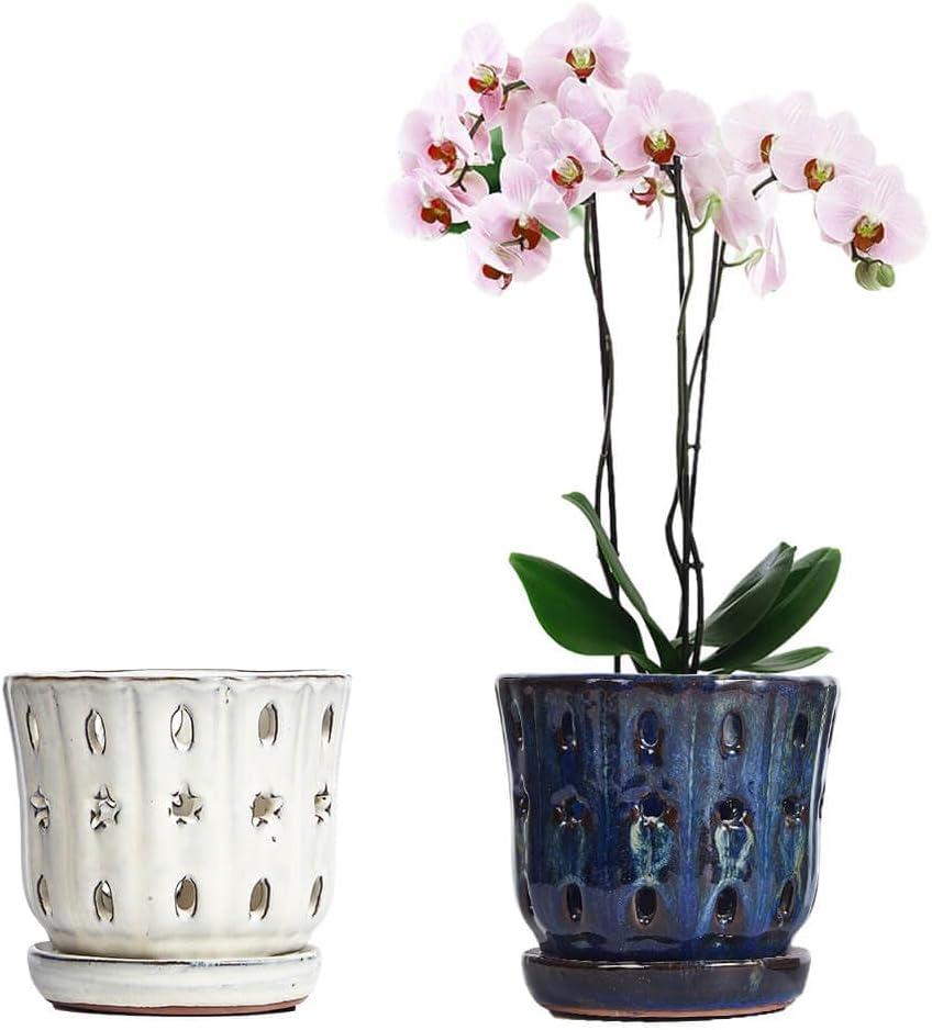 Orchid Pots with Holes Attached Saucers 5 Inches - 2 Pcs Small Ceramic Pots for Repotting, Decorative Ceramic Orchid Planter with Hole for Healthy Root Growth (White and Blue)