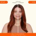 amika normcore signature conditioner (9.2 Fl Oz (Pack of 1))