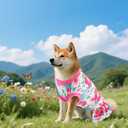 4PCS Dog Dresses Shirts for Medium Dogs Girl Female Pink Purple Red Skirts Summer Clothes Pet Apparel Floral Sundress Small Daisy Unicorn Stretchable Lightweight Outfit M
