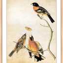 8x11 Picture Frame, Gold Aluminum Metal Photo Frames with HD Glass, Fits 7x9 with Mat or 8 x 11 without Mat, Display for Wall and Table