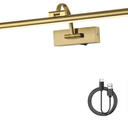 Wireless Picture Lights with Remote and Timer Rechargeable Brass Gallery Lighting Battery Operated Art Lights Over Frame Portrait 5W 24'' Inch Warm White