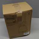 1.7L Electric Kettle, Cute Water Boiler with Thermometer & Auto Shut-Off, 1200W Fast Boiling Kettle for Home Kitchen Office, BPA-Free, Boil-Dry Protection (Stainless Steel Sanding)