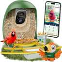 HIXX Smart Bird Feeder with Camera, AI Identify Birds & Auto Capture, 2K HD Live Camera Birdwatching with Color Night Vision for Bird Lovers Gifts Include Magnetic Toy (Peacock Green)