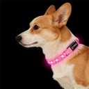 LED Dog Collar for Small Dogs Cats - Fully Waterproof & Adjustable Glow Collar - USB-C Rechargeable for Night Walking, Safety - Flashing Lighted Collar for Dogs(Pink,XS)