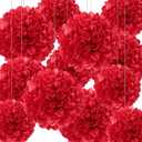 12Pcs Red Hanging Tissue Paper Pom Poms, Pompoms Flowers for Ceiling Party Decorations