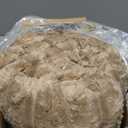 Bedsure GentleSoft Light Brown Throw Blanket for Couch - Cozy Soft Fleece Blankets for Women, Cute Small Throws for Girls, 50x60 Inches