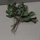 Mixed Eucalyptus Leaves Stems Bulk Artificial Eucalyptus Leaves Sprays Faux Oval Eucalyptus Leaves with White Seeds Stems for Floral Wreath Garland Bouquets Arrangement Wedding Greenery Decoration