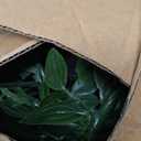 Palonu 4 Pack Faux Artificial Hanging Plants, Fake Potted Greenery with Eucalyptus Vine, Mandala, Pea Pod Leaves & String of Pearls in Pots for Office, Living Room, Bathroom, Indoor & Outdoor Dcor