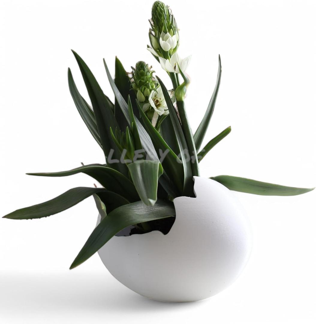 Egg Planter, Flower Pot Vase, House Plant Bowl, Succulent, Cacti, Snake Plant, Chicken Dinosaur Storage Bin, Bird Sculpture, Home Garden Office Decoration, Gift (Laying Egg)