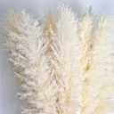 46" inch 10 Stems Natural Pampas Grass Decor Tall, Pompas Grass, Tall Pampas Grass for Weddingm, Farmhouse, Boho Home Decor (Ivory)