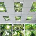 6 Pcs Fluorescent Light Covers with 60 Magnets Decorative for Classroom Ceiling Lights 4 x 2 Feet Magnetic Light Cover Filter Easy Install for Office Hospital Home Ceiling Supplies (Rainforest)