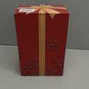 Priddop Cardinal Snow Globe Christmas Decorations Gifts Arched Window Shape USB/ Battery Timer Music Glitter Snowfall Lantern Cardinal Decor 9 Inch