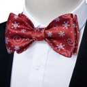 DiBanGu Christmas Bow Ties for Men Xmas Self-tied Bowties and Pocket Square Set Festival Woven Bowtie Handkerchief