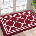 Buganda Indoor Door Mat, Dirt-Resistant and Absorbent Doormat, Anti-Slip, Low Profile Floor Mats for Inside Entryway, Front, and Back Door Entrance (36x24 Inches, Burgundy)