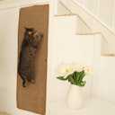Cat Wall Climbing Carpet - Cat Wall Climber 50" x 17" with Fixed Nails  Scratching Rug Wall Scratchers for Indoor Cats | Climbing Wall Carpet | Scratching Mat.