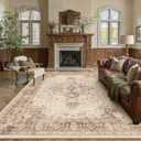 Brown 8x10 Area Rug Washable Vintage Living Room Carpet Non Slip Retro Distressed Low Pile Soft Oriental Medallion Thin Large Throw Rug for Office Bedroom Dining Room Playroom