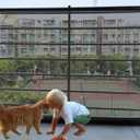 Banister Guard-10ft X 3ft Thick Balcony Safety Net for Kids Pet Balcony Guard Balcony Netting for Pets Rail Net for Balcony Apartment Cat Netting Safety Netting for Railings Stair Guard (Black)