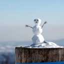 Unomor 100Pcs Light Brown Plastic Snowman Arms Antler Branches for DIY Christmas Craft Decorations 3.14 X 0.78 X 0.11 Inch