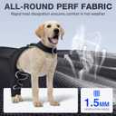 Dog Hind Leg Sleeve to Stop Licking  Breathable Rear Leg Brace with Back Buckle for Wound Protection, Reflective Recovery Sleeve, Cone Alternative  Size XS (Black, XS)