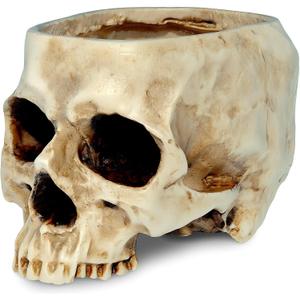 READAEER Skull Planter with Drain Hole, Resin Skull Shaped Flower Pot Candy Bowl, Gothic Decoration for Home Office Desk- White