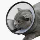 Dog Cone Collar Adjustable After Surgery, Comfortable Pet Recovery Collar & Cone for Large Medium Small Dogs, Elizabethan Dog Neck Collar Plastic Practical