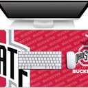 YouTheFan NCAA Ohio State Buckeyes Logo Series Desk Pad