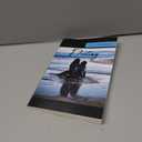 Destiny: Giannico, C E: 9781684985067:  by C E Giannico (Author)